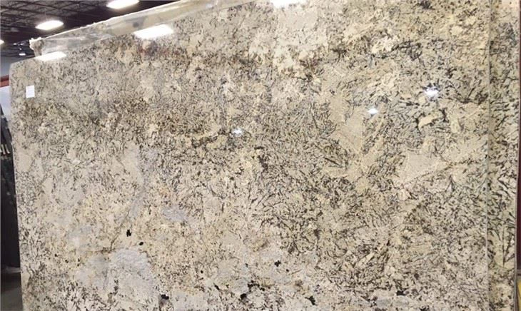 absolute cream granite big slab